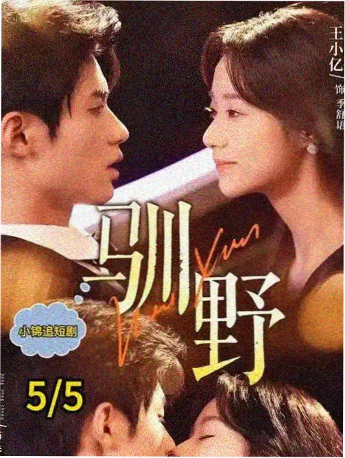 久久精品4综合索引条目封面